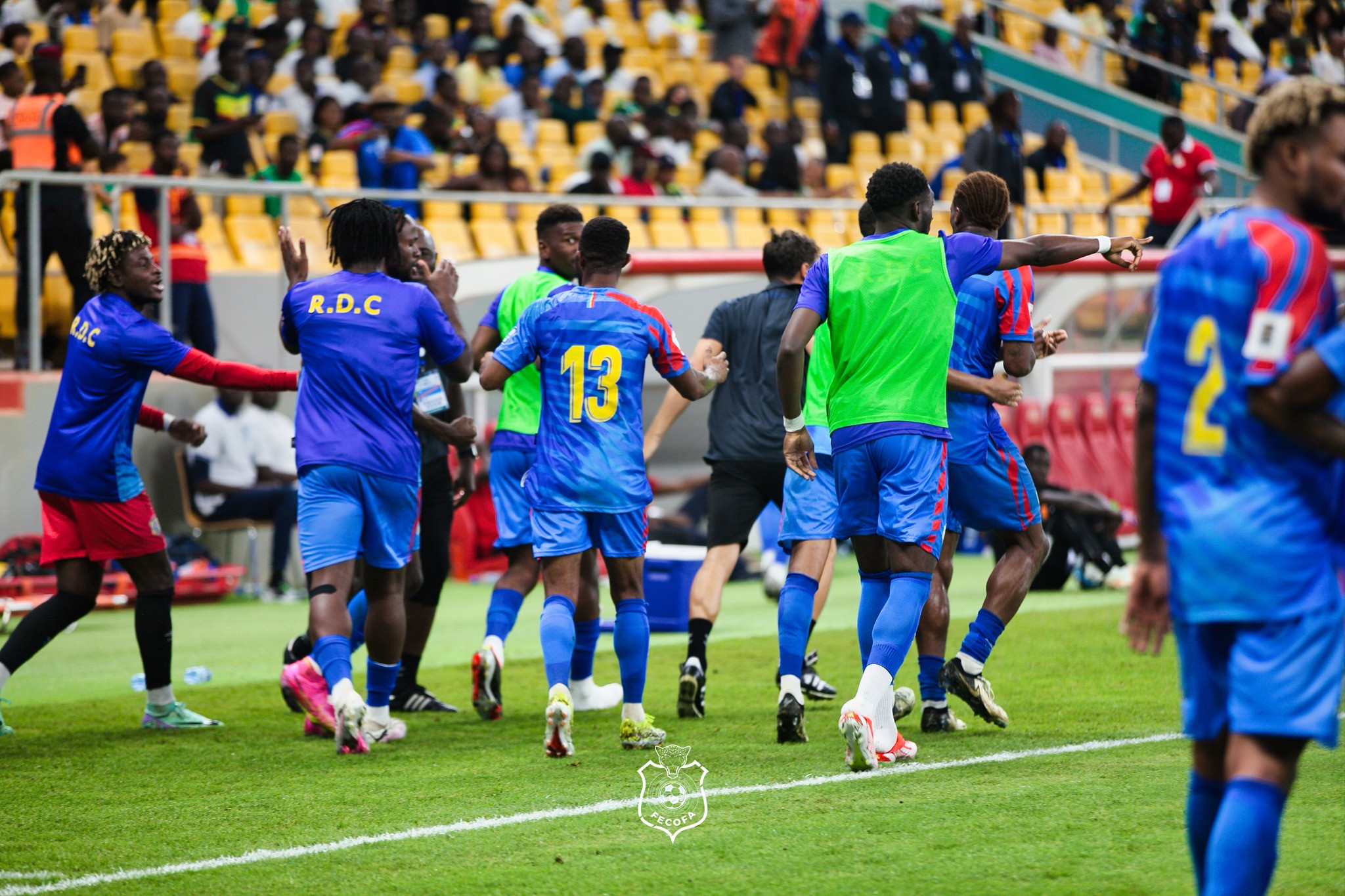 Les Léopards accrochent les Lions de la Teranga (1-1) à Dakar